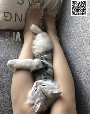 我们的少年时代2免费完整版_1080高清视频播放